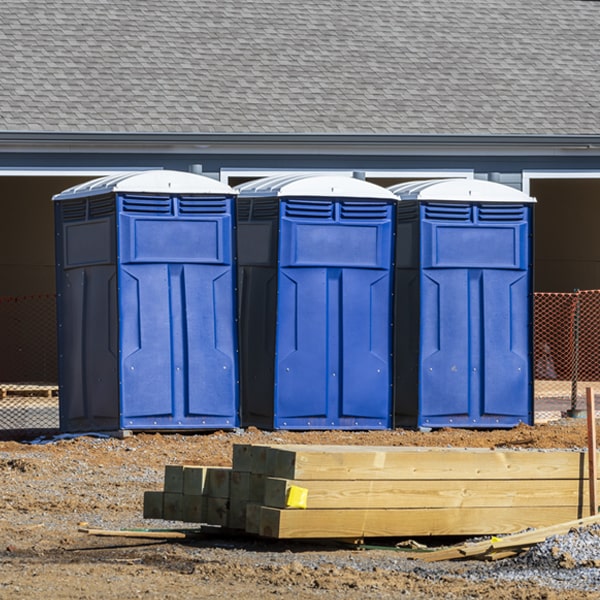 how often are the porta potties cleaned and serviced during a rental period in Lake Panasoffkee FL